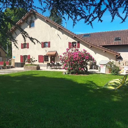 Gite Belle Fleur 6 Personnes- Vosges Saint-Nabord Exterior photo