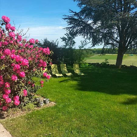 Gite Belle Fleur 6 Personnes- Vosges Saint-Nabord Exterior photo